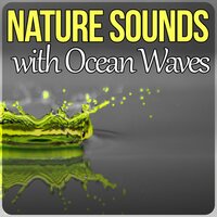 Deep Sleep Music for Toddlers - Nature Sounds Universe