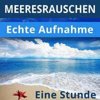 Everything Came Together - Meeresrauschen & Guten Schlafen Akademie & Regen zum Schlafen