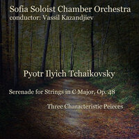 Serenade for Strings in C Major, Op. 48: 3. Elegie - Sofia Soloist Chamber Orchestra & Пётр Ильич Чайковский