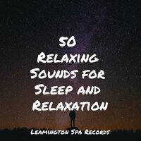 Soft Rains Will Come - Study Zone & Lightning & Relaxation
