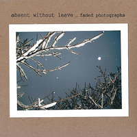 Where the Birds Fly in Winter - Absent Without Leave