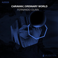 Ordinary World - Fernando Olaya