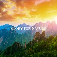 Woodland Calm - Zen Natural Sounds