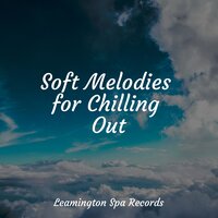 Massage Music - Relaxing Spa Music & Relaxing Sleep Sound & Sleep Makers Samples
