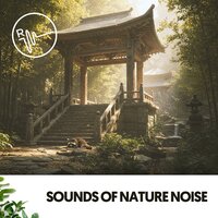 Celestial Dreams Weave - Música Relajante Para Leer & Rivers and Streams & Work Music