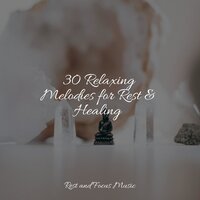 Cypress Trees - Massagem Coleção de Músicas & Study Power & Lullabies for Deep Meditation