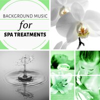 Harmony of Senses - Spa Healing Collection