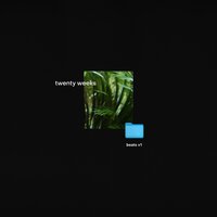 wah thing - Twenty Weeks