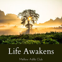 Waking up - Mellow Adlib Club