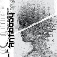 Grau in Grau - Antibody