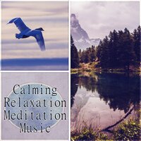New Age for Insomnia (Relieving Insomnia) - Relaxing Night Music Academy
