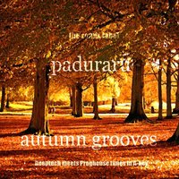 Revival Changes - Paduraru