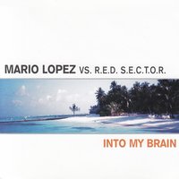 Into My Brain - Mario Lopez