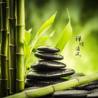 碧湖禅韵 - 纯音乐盒