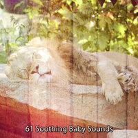 Lucid Resting - Dormir