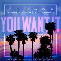 You Want It - Dj Hawk & Tarrus Riley & Abrina & DJ X.O.