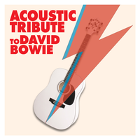 Starman - Guitar Tribute Players