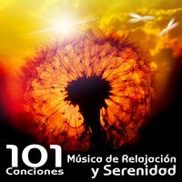 Música New Age - Música de Fondo Colección
