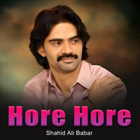 Dost Dushman Thi - Shahid Ali Babar
