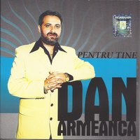 Mama mea - Dan Armeanca