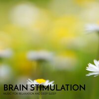 Anxiety Relief - Sanct Devotional Club