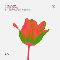 Cheyenne - Trilucid