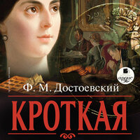 Фёдор Достоевский. «Кроткая». Часть 7 - Иван Литвинов
