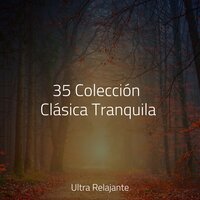 Calles Empedradas - Canciones de Cuna para Bebés Acadèmico & Relajante Musica & Sonido de lluvia