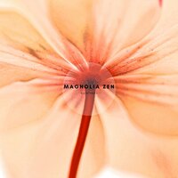 Aquila - Magnolia Zen