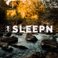 Woodland Walk - SLEEPN & Dylan Barnes & Rob Davy & Mark Dowling