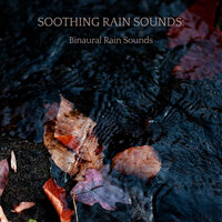 Rain Meditation Music - Rain Sounds For Sleep & The Nature Soundscapes & Amazing Spa Experience