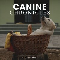 Drooling - Official Pet Care Collection