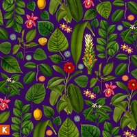 Sift - Kings Kaleidoscope