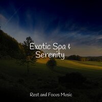 Serene - Life Sounds Nature & Binaural Beats Brainwave Entrainment & Meditation Relaxation Club