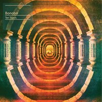 Duals - Bonobo