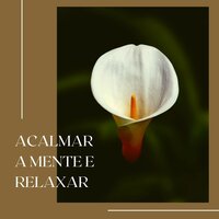 Meditação Tonal - Ansiedade Tratamento