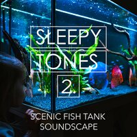 Scenic Fish Tank Soundscape, Pt. 17 - Jason Rivers