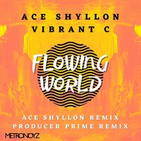Flowing World - Ace Shyllon & Vibrant C