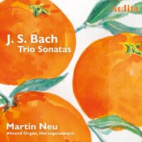 Trio Sonata No. 1 in E-Flat Major, BWV 525: III. Allegro - Martin Neu & Johann Sebastian Bach