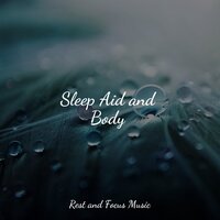 Warmth in the Arctic - Deep Sleep Music Academy & Regengeräusche & Soothing Chill Out For Insomnia