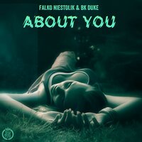 About You - Falko Niestolik & BK Duke