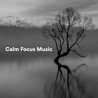 Strings and Feelings - Focus & Work & Focusity & Reading Background Music Playlist