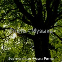 Моменты (Спать) - Фортепианная Музыка Ритмы