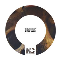 For You - Soulsoap & Nu Ground Foundation