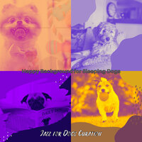 Modish Backdrops for Calming Your Pup - Jazz for Dogs Curation