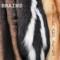 Ungulate - Brains & Drew Ceccato & Chris Golinski