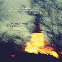Symphony No. 9 in E Minor, B. 178 "From the New World": III. Scherzo: Molto vivace - Marek Štryncl & Антонин Дворжак