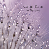 Calm Rain for Sleeping, Pt. 35 - Ruído branco & Sleepy Dogs & White Noise Baby Sleep