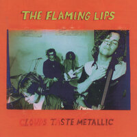 Brainville - The Flaming Lips