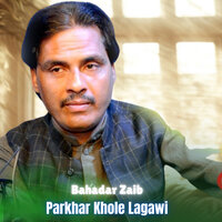 Parkhar Khole Lagawi - Bahadar Zaib